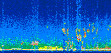 /calipso-imagery/data/BROWSE/production/V5-00/2008-09-01/2008-09-01_05-21-38_V5.00_2_thmb.png image missing
