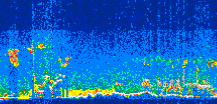 /calipso-imagery/data/BROWSE/production/V5-00/2008-09-01/2008-09-01_05-21-38_V5.00_3_thmb.png image missing