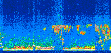 /calipso-imagery/data/BROWSE/production/V5-00/2008-09-01/2008-09-01_08-39-24_V5.00_2_thmb.png image missing