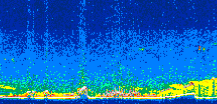 /calipso-imagery/data/BROWSE/production/V5-00/2008-09-01/2008-09-01_10-18-14_V5.00_2_thmb.png image missing