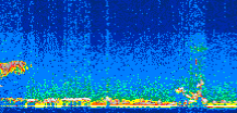 /calipso-imagery/data/BROWSE/production/V5-00/2008-09-01/2008-09-01_21-50-26_V5.00_2_thmb.png image missing