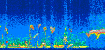 /calipso-imagery/data/BROWSE/production/V5-00/2008-09-04/2008-09-04_02-34-27_V5.00_3_thmb.png image missing
