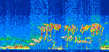 /calipso-imagery/data/BROWSE/production/V5-00/2008-09-04/2008-09-04_07-31-08_V5.00_2_thmb.png image missing