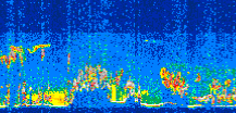 /calipso-imagery/data/BROWSE/production/V5-00/2008-09-04/2008-09-04_07-31-08_V5.00_3_thmb.png image missing
