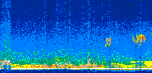 /calipso-imagery/data/BROWSE/production/V5-00/2008-09-04/2008-09-04_09-09-58_V5.00_2_thmb.png image missing