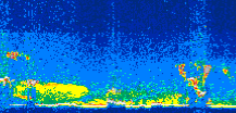 /calipso-imagery/data/BROWSE/production/V5-00/2008-09-04/2008-09-04_10-48-49_V5.00_3_thmb.png image missing