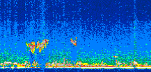 /calipso-imagery/data/BROWSE/production/V5-00/2008-09-04/2008-09-04_23-59-50_V5.00_2_thmb.png image missing