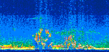 /calipso-imagery/data/BROWSE/production/V5-00/2008-09-04/2008-09-04_23-59-50_V5.00_3_thmb.png image missing