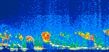 /calipso-imagery/data/BROWSE/production/V5-00/2008-09-06/2008-09-06_02-21-54_V5.00_1_thmb.png image missing