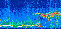 /calipso-imagery/data/BROWSE/production/V5-00/2008-09-06/2008-09-06_04-00-49_V5.00_2_thmb.png image missing