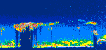 /calipso-imagery/data/BROWSE/production/V5-00/2008-09-06/2008-09-06_04-53-14_V5.00_2_thmb.png image missing
