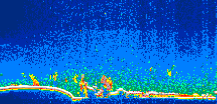 /calipso-imagery/data/BROWSE/production/V5-00/2008-09-06/2008-09-06_08-57-25_V5.00_1_thmb.png image missing