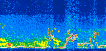 /calipso-imagery/data/BROWSE/production/V5-00/2008-09-06/2008-09-06_12-15-10_V5.00_3_thmb.png image missing