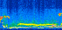 /calipso-imagery/data/BROWSE/production/V5-00/2008-09-06/2008-09-06_13-54-05_V5.00_2_thmb.png image missing