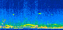 /calipso-imagery/data/BROWSE/production/V5-00/2008-09-06/2008-09-06_15-32-55_V5.00_2_thmb.png image missing