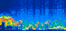 /calipso-imagery/data/BROWSE/production/V5-00/2008-09-06/2008-09-06_18-50-41_V5.00_1_thmb.png image missing