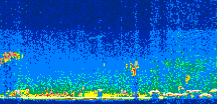 /calipso-imagery/data/BROWSE/production/V5-00/2008-09-06/2008-09-06_23-47-16_V5.00_3_thmb.png image missing