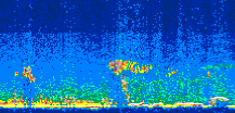 /calipso-imagery/data/BROWSE/production/V5-00/2008-09-07/2008-09-07_01-26-12_V5.00_3_thmb.png image missing