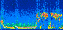 /calipso-imagery/data/BROWSE/production/V5-00/2008-09-07/2008-09-07_03-05-02_V5.00_2_thmb.png image missing
