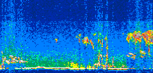 /calipso-imagery/data/BROWSE/production/V5-00/2008-09-07/2008-09-07_04-43-57_V5.00_2_thmb.png image missing
