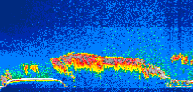/calipso-imagery/data/BROWSE/production/V5-00/2008-09-07/2008-09-07_06-22-47_V5.00_1_thmb.png image missing