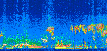 /calipso-imagery/data/BROWSE/production/V5-00/2008-09-07/2008-09-07_08-01-43_V5.00_2_thmb.png image missing