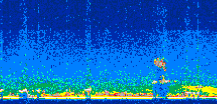 /calipso-imagery/data/BROWSE/production/V5-00/2008-09-07/2008-09-07_09-40-33_V5.00_2_thmb.png image missing