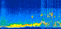 /calipso-imagery/data/BROWSE/production/V5-00/2008-09-07/2008-09-07_11-19-28_V5.00_2_thmb.png image missing