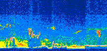 /calipso-imagery/data/BROWSE/production/V5-00/2008-09-07/2008-09-07_12-58-18_V5.00_3_thmb.png image missing