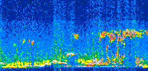/calipso-imagery/data/BROWSE/production/V5-00/2008-09-07/2008-09-07_17-54-59_V5.00_2_thmb.png image missing