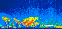 /calipso-imagery/data/BROWSE/production/V5-00/2008-09-07/2008-09-07_21-12-44_V5.00_1_thmb.png image missing