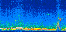 /calipso-imagery/data/BROWSE/production/V5-00/2008-09-07/2008-09-07_22-51-34_V5.00_2_thmb.png image missing