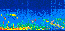 /calipso-imagery/data/BROWSE/production/V5-00/2008-09-08/2008-09-08_03-48-10_V5.00_3_thmb.png image missing