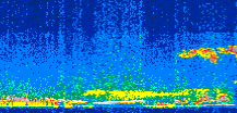 /calipso-imagery/data/BROWSE/production/V5-00/2008-09-08/2008-09-08_13-41-26_V5.00_2_thmb.png image missing