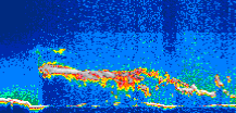 /calipso-imagery/data/BROWSE/production/V5-00/2008-09-10/2008-09-10_18-25-32_V5.00_1_thmb.png image missing
