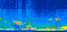 /calipso-imagery/data/BROWSE/production/V5-00/2008-09-16/2008-09-16_09-33-30_V5.00_2_thmb.png image missing
