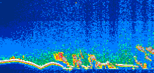/calipso-imagery/data/BROWSE/production/V5-00/2008-09-16/2008-09-16_11-12-20_V5.00_1_thmb.png image missing