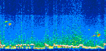 /calipso-imagery/data/BROWSE/production/V5-00/2008-09-16/2008-09-16_22-44-26_V5.00_3_thmb.png image missing