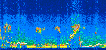 /calipso-imagery/data/BROWSE/production/V5-00/2008-09-22/2008-09-22_15-31-14_V5.00_3_thmb.png image missing