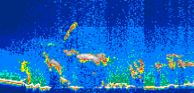 /calipso-imagery/data/BROWSE/production/V5-00/2008-09-22/2008-09-22_18-49-00_V5.00_1_thmb.png image missing