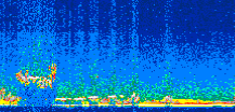 /calipso-imagery/data/BROWSE/production/V5-00/2008-09-22/2008-09-22_22-06-45_V5.00_2_thmb.png image missing