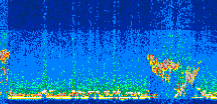 /calipso-imagery/data/BROWSE/production/V5-00/2008-09-22/2008-09-22_22-06-45_V5.00_3_thmb.png image missing