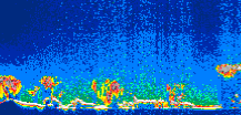/calipso-imagery/data/BROWSE/production/V5-00/2008-09-24/2008-09-24_02-07-39_V5.00_1_thmb.png image missing