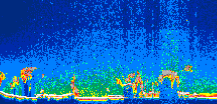 /calipso-imagery/data/BROWSE/production/V5-00/2008-09-24/2008-09-24_03-46-29_V5.00_1_thmb.png image missing