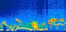 /calipso-imagery/data/BROWSE/production/V5-00/2008-09-24/2008-09-24_05-25-24_V5.00_1_thmb.png image missing