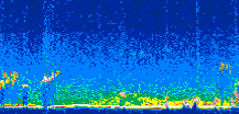 /calipso-imagery/data/BROWSE/production/V5-00/2008-09-24/2008-09-24_05-25-24_V5.00_2_thmb.png image missing