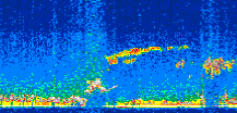 /calipso-imagery/data/BROWSE/production/V5-00/2008-09-24/2008-09-24_07-04-14_V5.00_2_thmb.png image missing