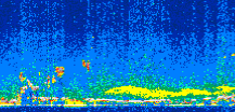 /calipso-imagery/data/BROWSE/production/V5-00/2008-09-24/2008-09-24_13-39-45_V5.00_2_thmb.png image missing