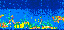 /calipso-imagery/data/BROWSE/production/V5-00/2008-09-24/2008-09-24_13-39-45_V5.00_3_thmb.png image missing