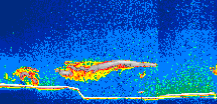 /calipso-imagery/data/BROWSE/production/V5-00/2008-09-24/2008-09-24_15-18-40_V5.00_1_thmb.png image missing